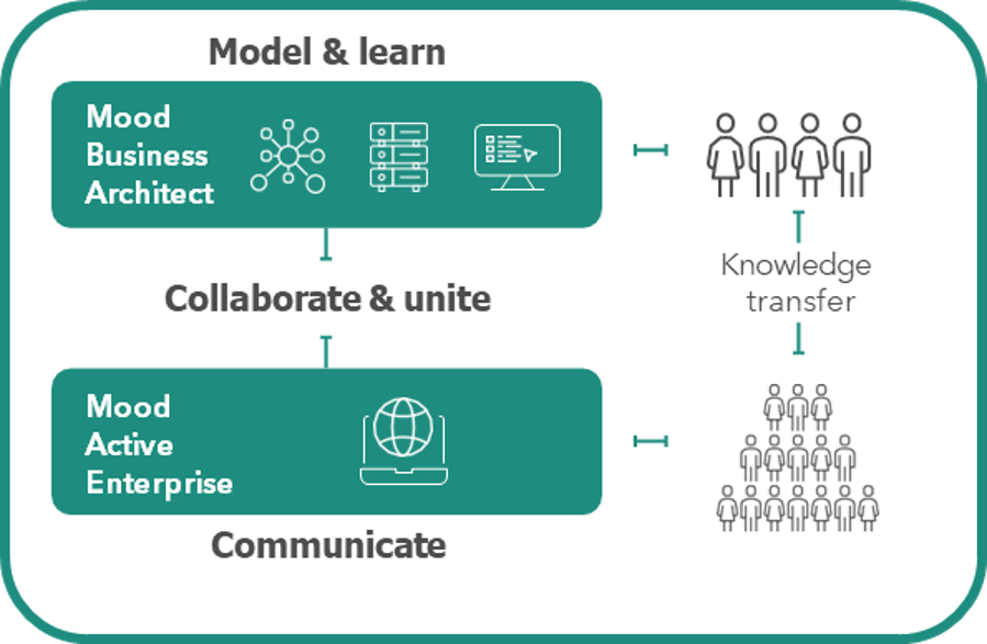 Mood process infographic