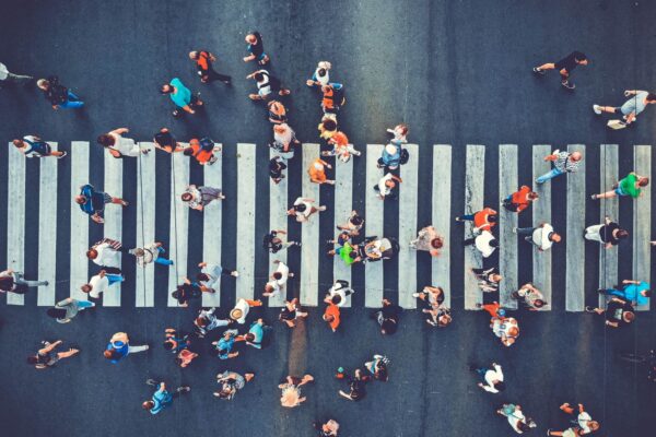 Developing a trusted demographic model and profile