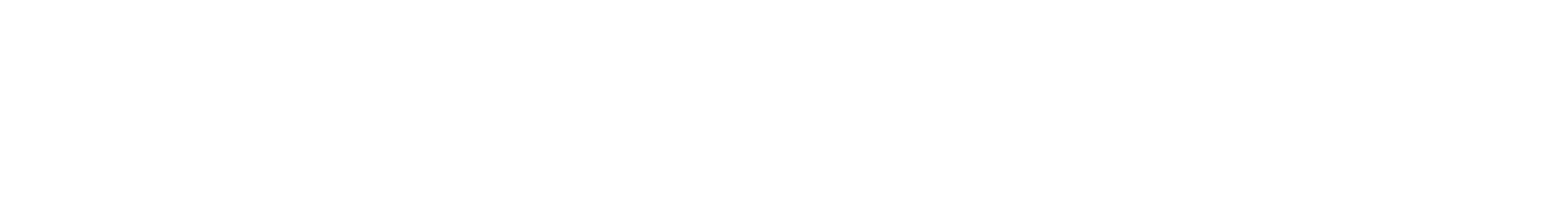 Advantage Smollan Logo
