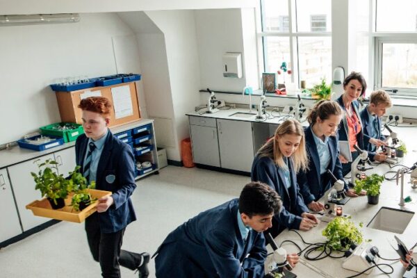 Students working in a school laboratory, researching plants for a science class assignment
